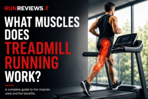 Muscles Developed when Running on the Treadmill