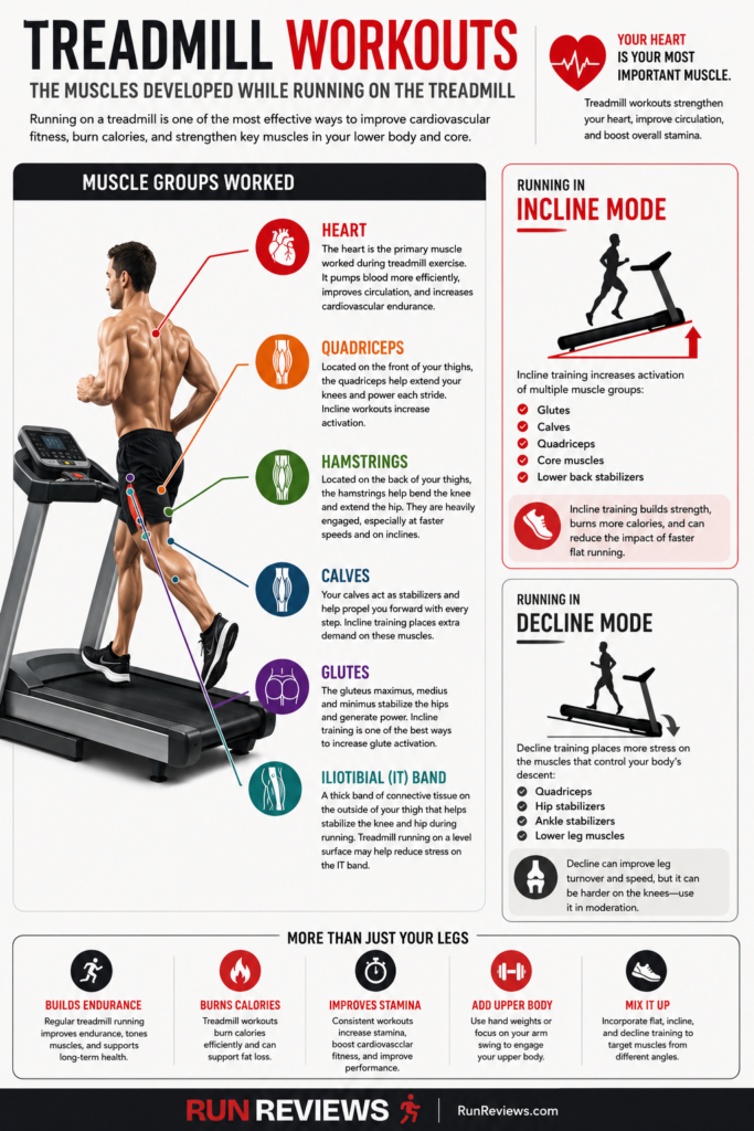 Infographic showing the muscles used while running on a treadmill including the heart, quadriceps, calves, hamstrings, glutes and IT band.